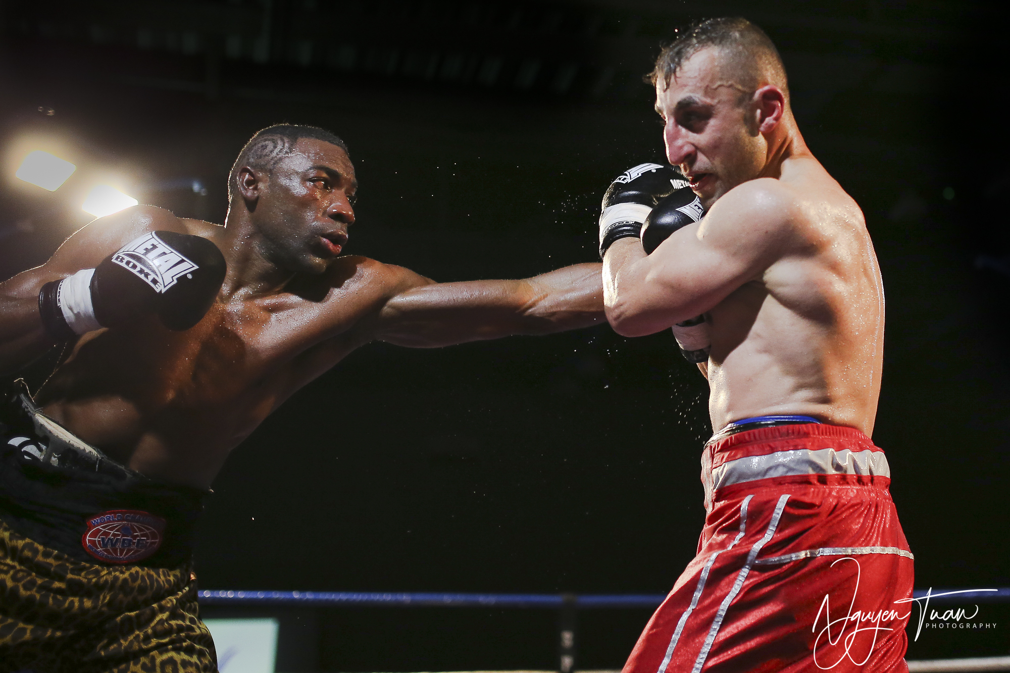 GALA BOXE 2018  3755